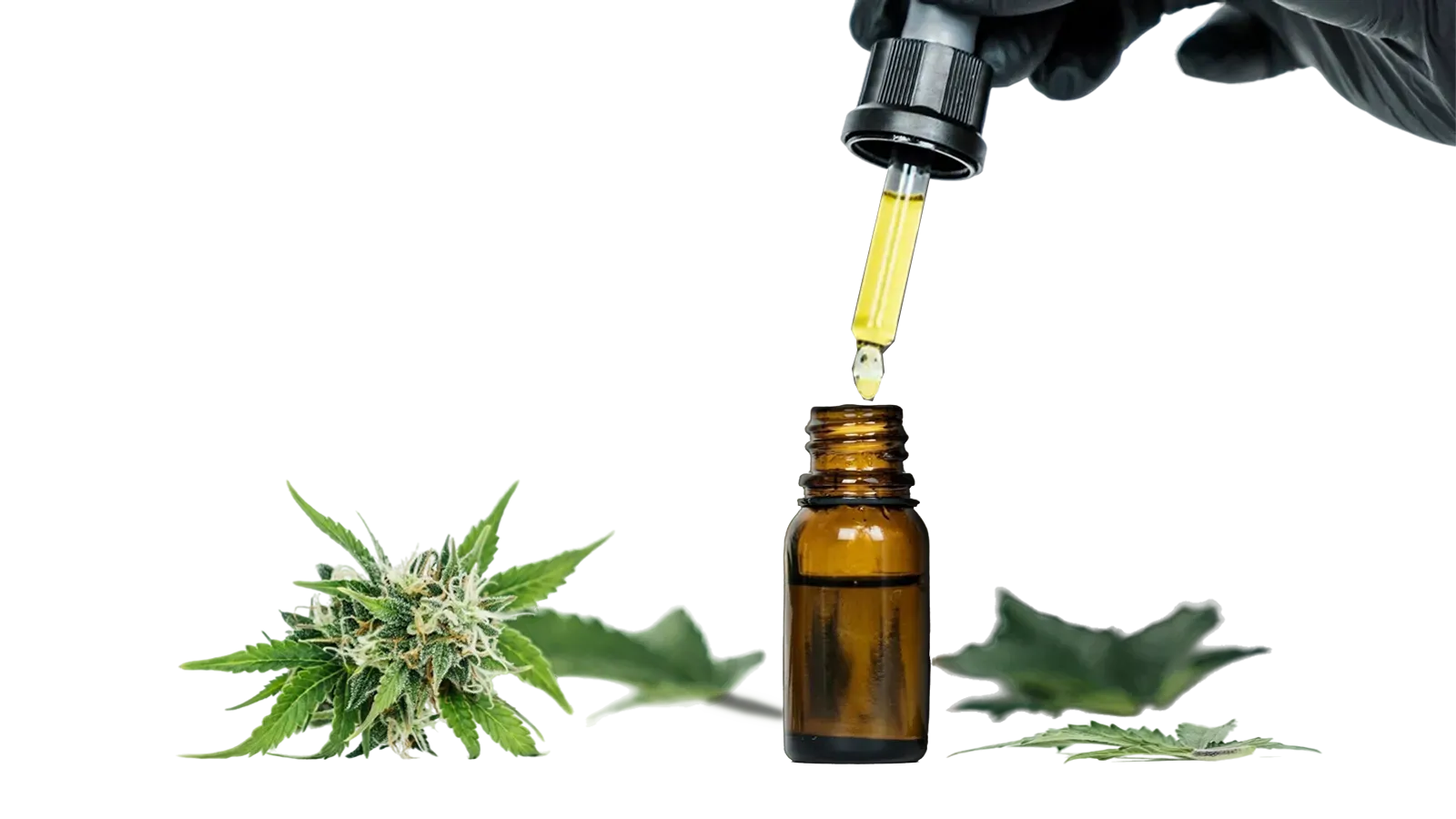 medicinal cannabis dark